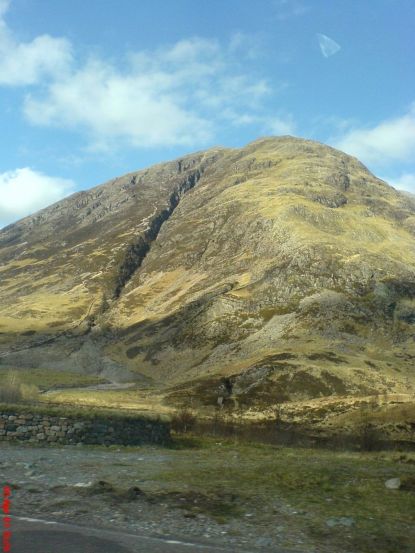 DSC01516