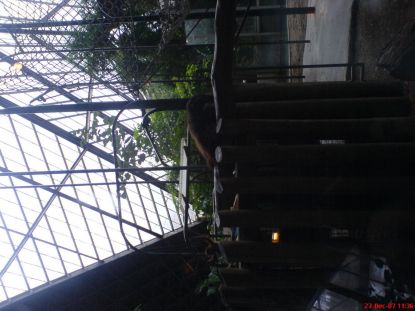 DSC03828