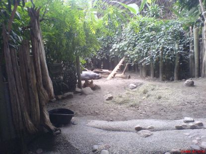 DSC03846