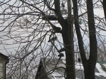 LotteCanadaDec2008014