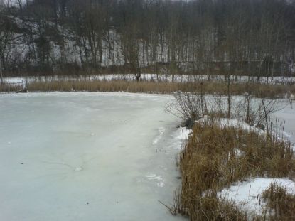 DSC00580